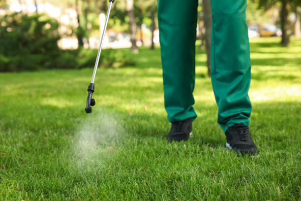 Best Mosquito Control Services  in Moss Point, MS