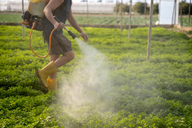 Best Affordable Pest Control Services  in Moss Point, MS