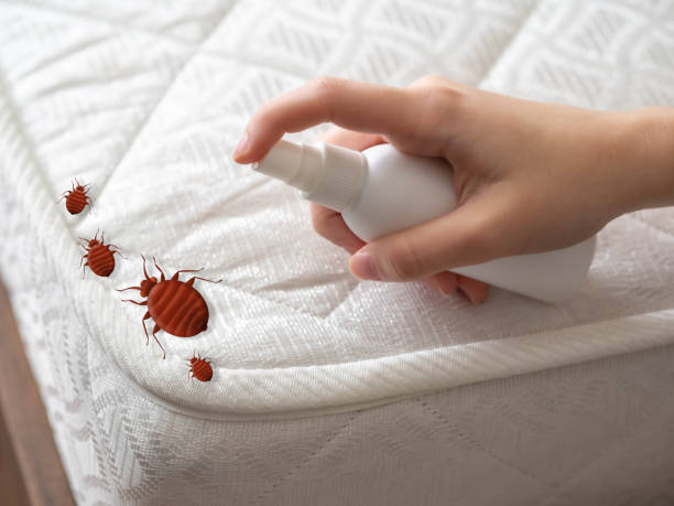 Best Emergency Pest Control  in Moss Point, MS