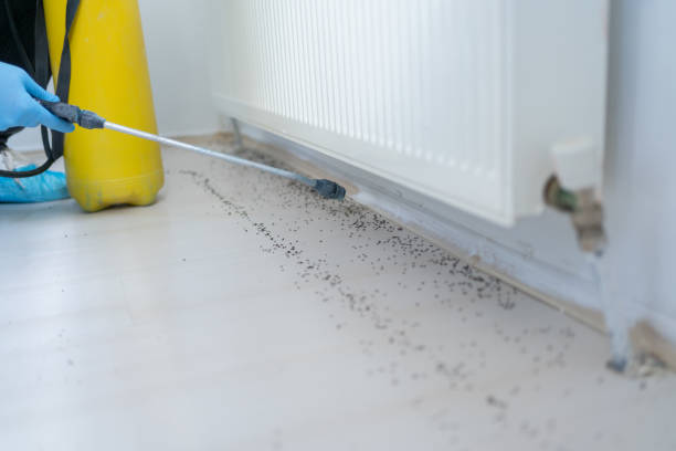 Best Flea Control Services  in Moss Point, MS
