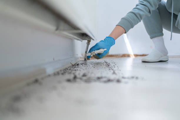 Best Mosquito Control Services  in Moss Point, MS